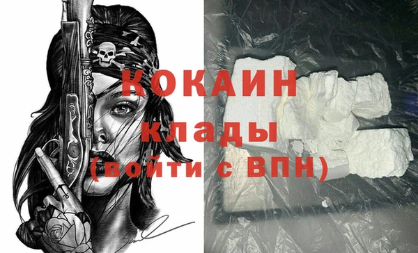 прущий лед Дмитриев