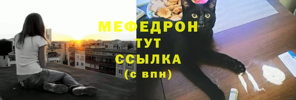прущий лед Дмитриев
