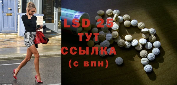прущий лед Дмитриев