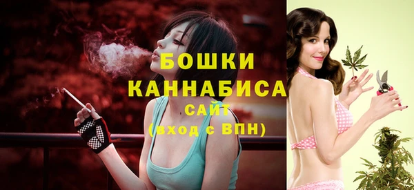 прущий лед Дмитриев