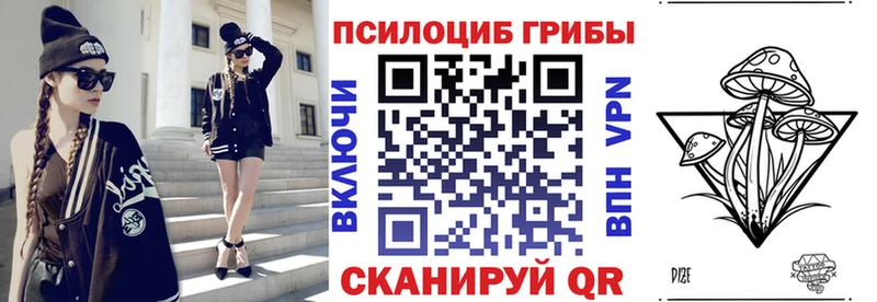 где купить   Мегион  Псилоцибиновые грибы ЛСД 